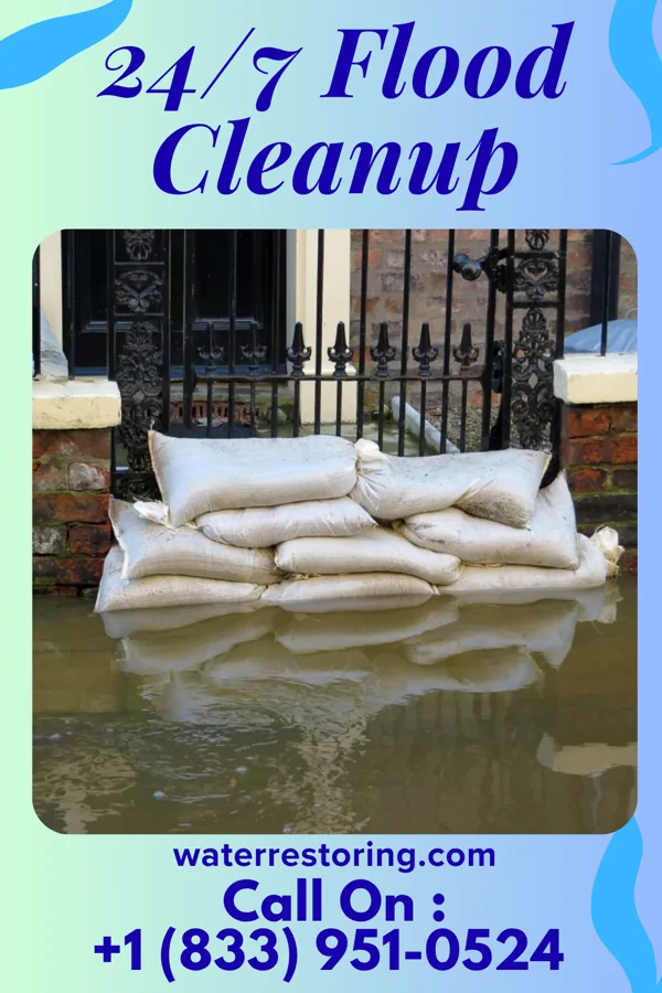 24/7 Flood Cleanup in Forest, MS