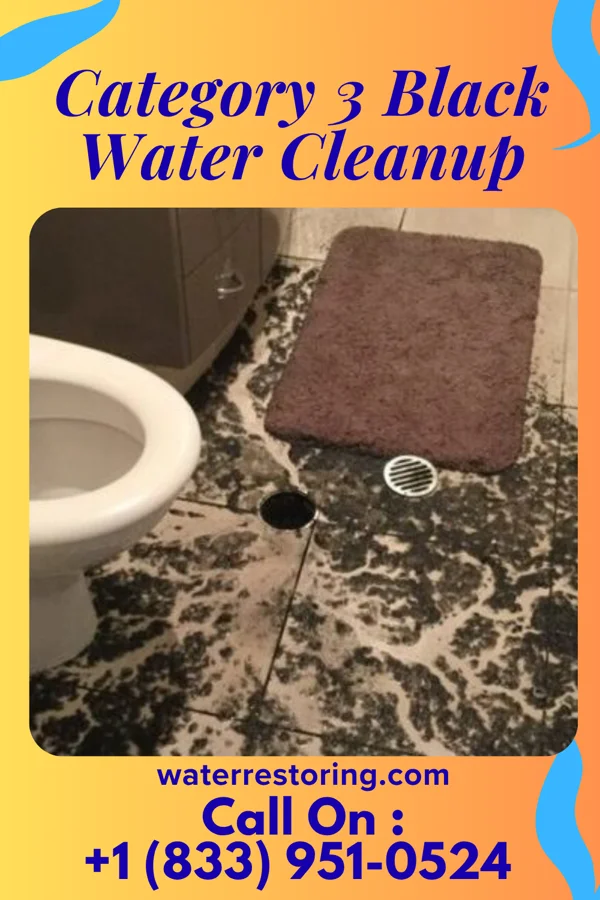 Category 3 Black Water Cleanup in Forest, MS