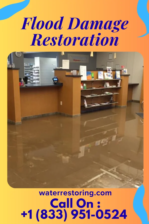 Flood Damage Restoration in Forest, MS