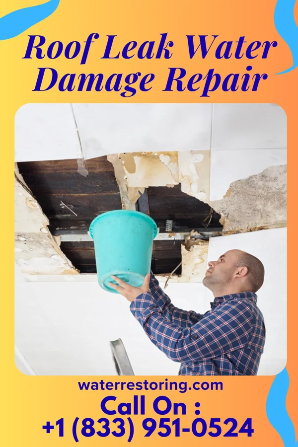 Roof Leak Water Damage Repair in Forest, MS