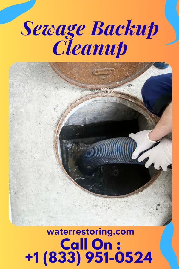 Sewage Backup Cleanup in Forest, MS