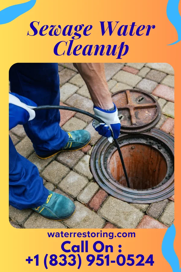 Sewage Water Cleanup in Forest, MS