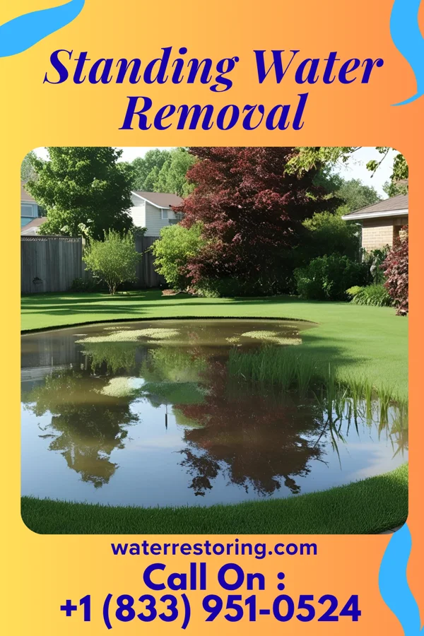 Standing Water Removal in Forest, MS